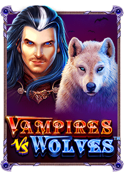 เทคนิคลอง เล่น ยิง ปลาส โบ เบ ท 24 สำหรับมือใหม่สุดเซียน